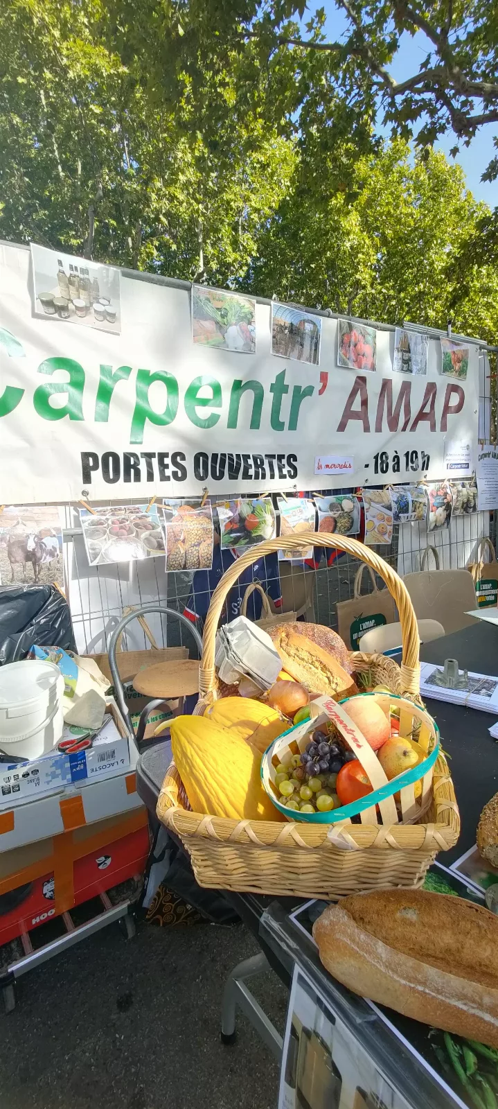 Forum des associations