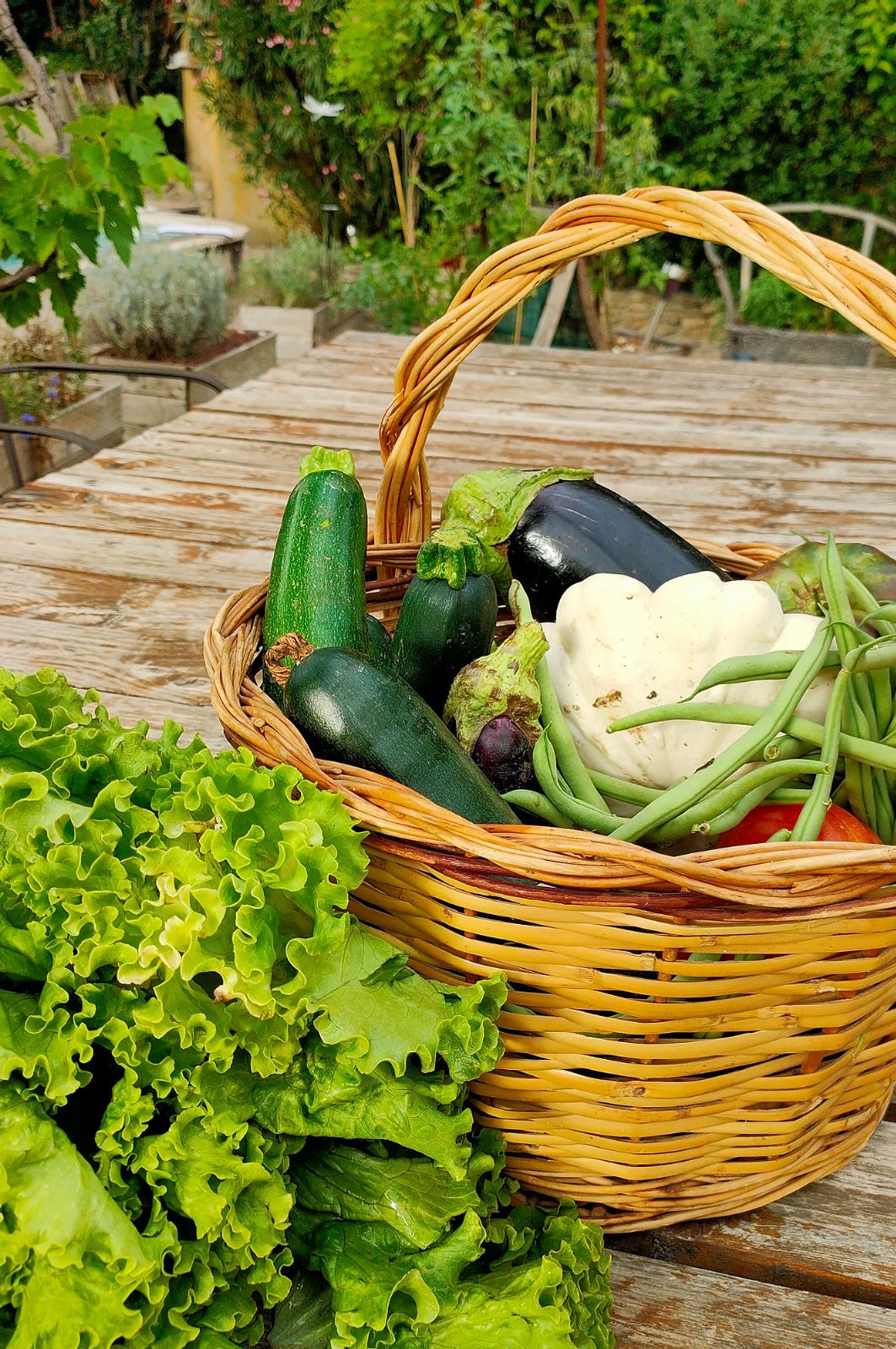 Quels sont les avantages d'une AMAP ?