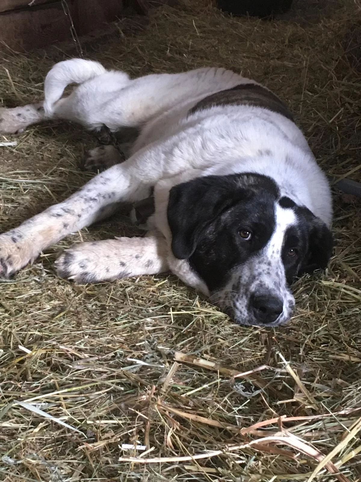 Photo de La Ferme du Célas