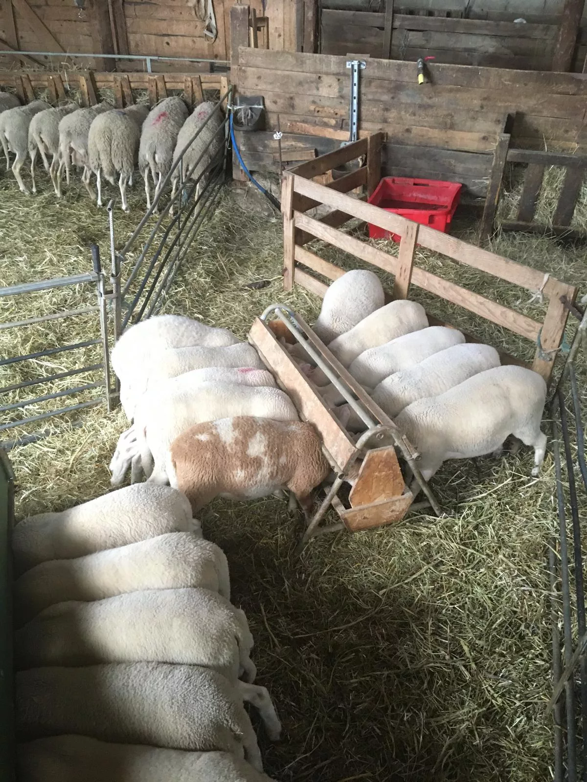 Photo de La Ferme du Célas