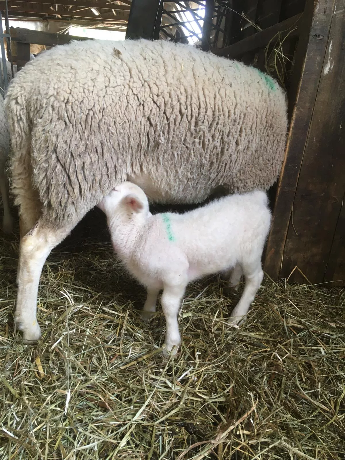Photo de La Ferme du Célas