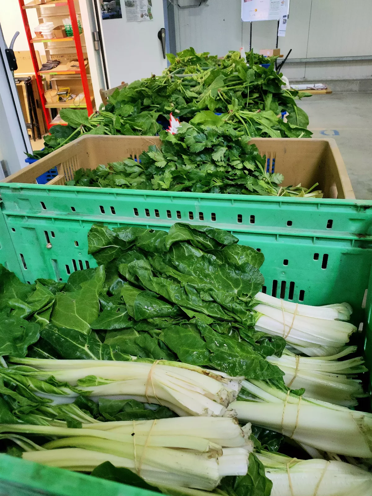 Photo de La Ferme ça pousse