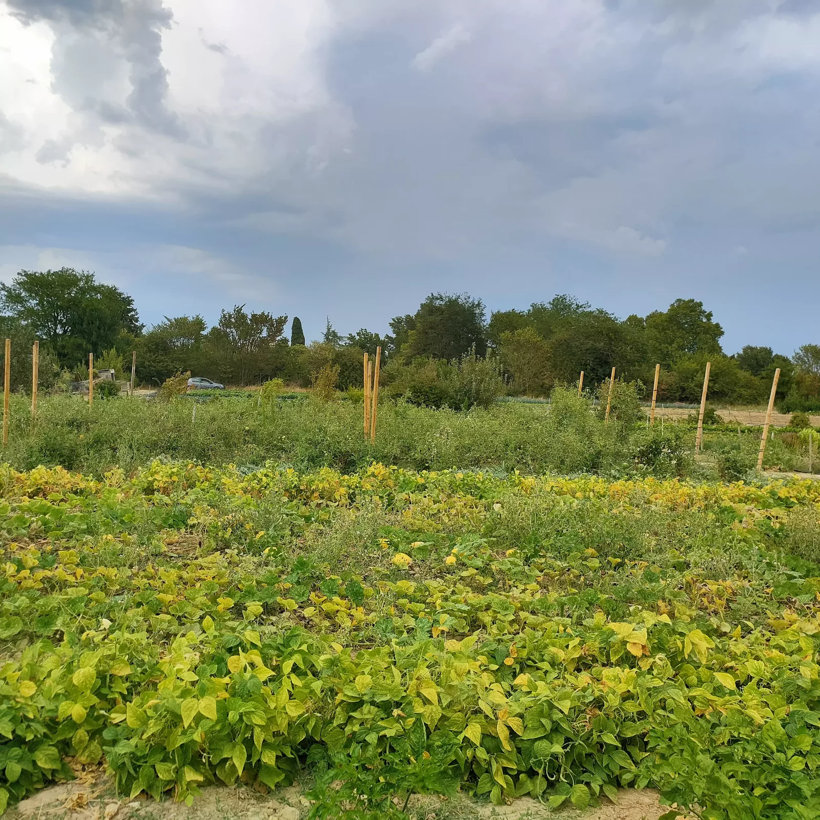 Photo de La Ferme ça pousse