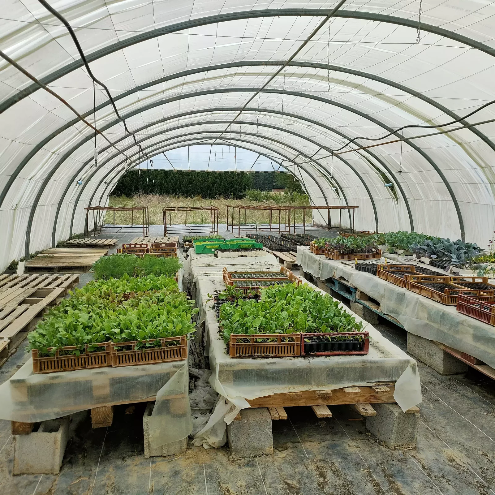 Photo de La Ferme ça pousse