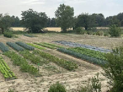 Photo de La Ferme ça pousse