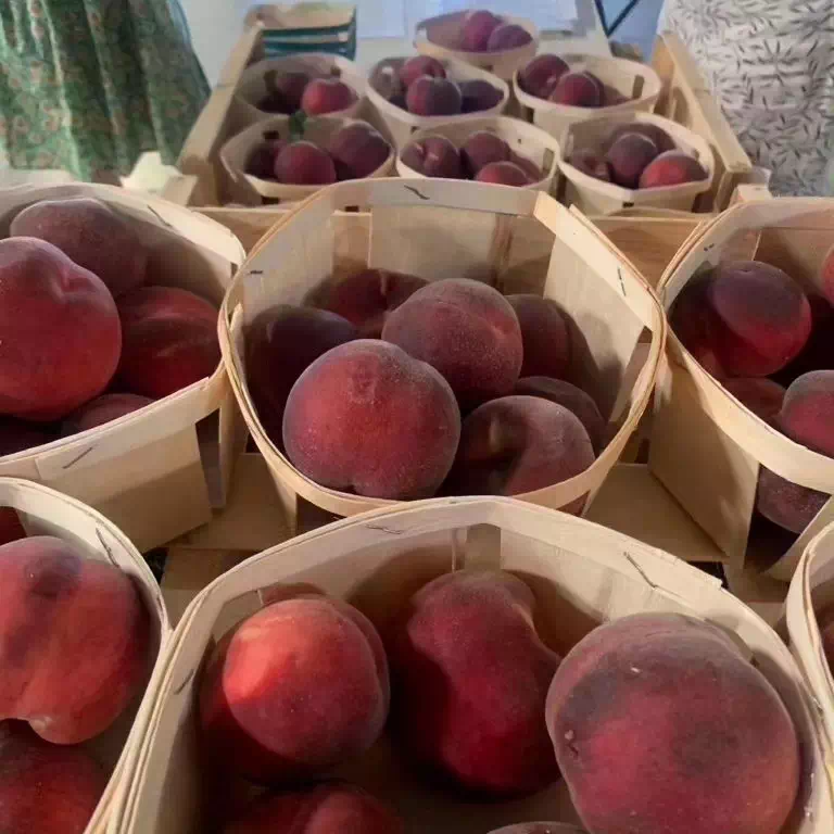 Photo de Le Mas de Gouredon