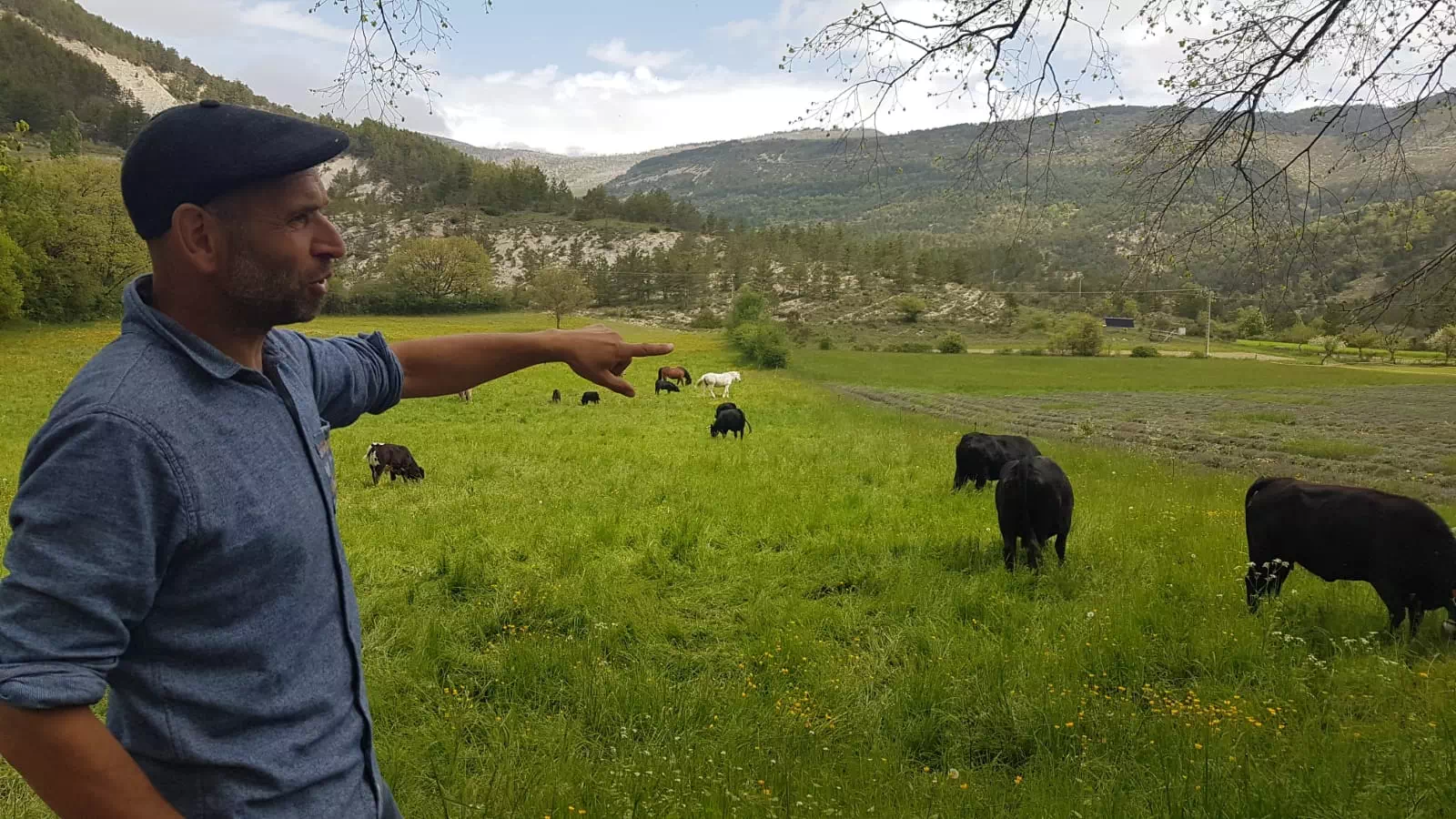 Photo de Ferme Chantaour (Micol)