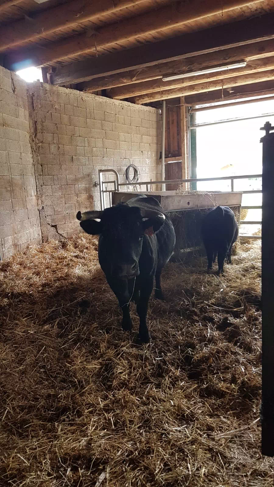 Photo de Ferme Chantaour (Micol)