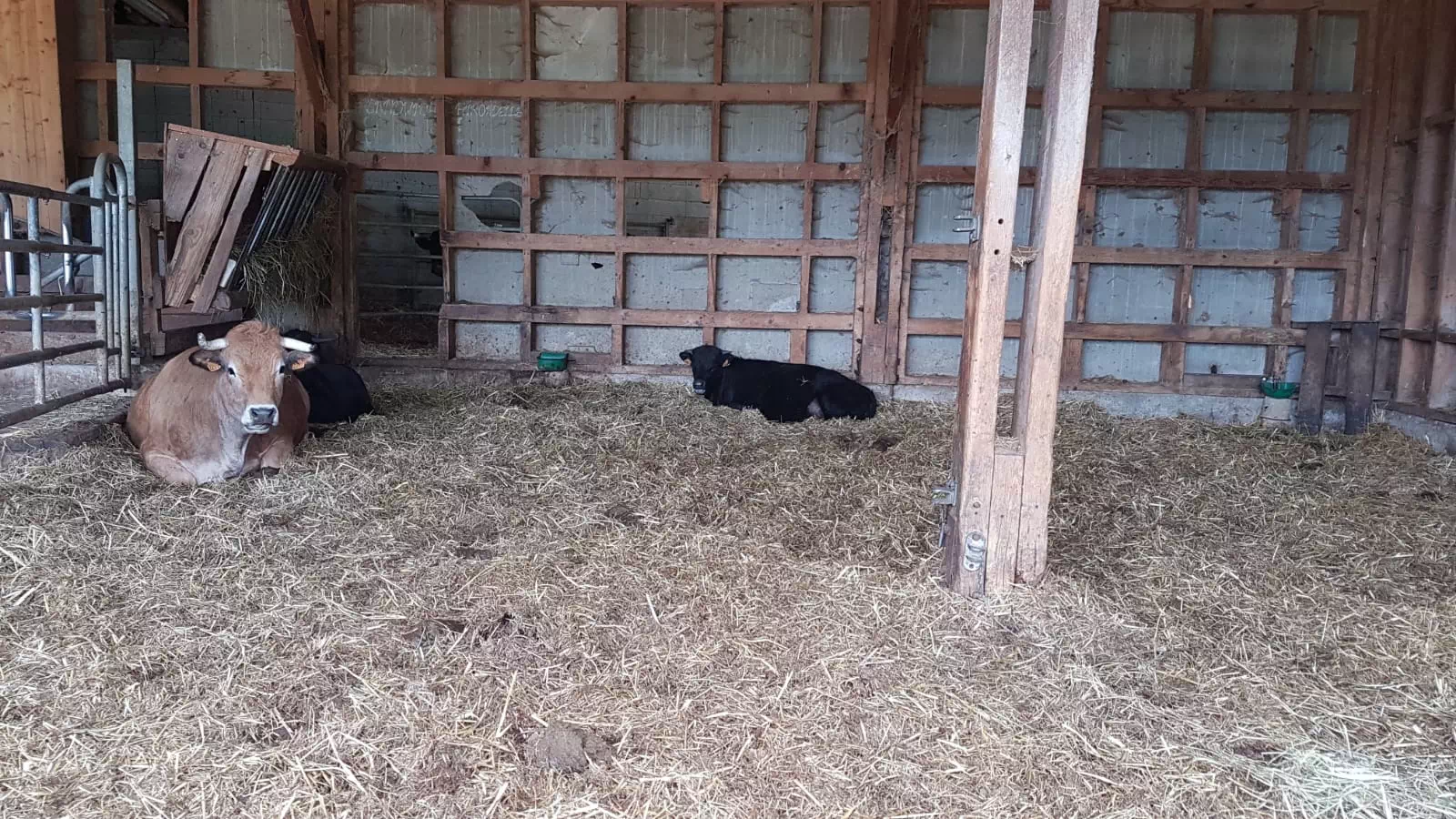 Photo de Ferme Chantaour (Micol)