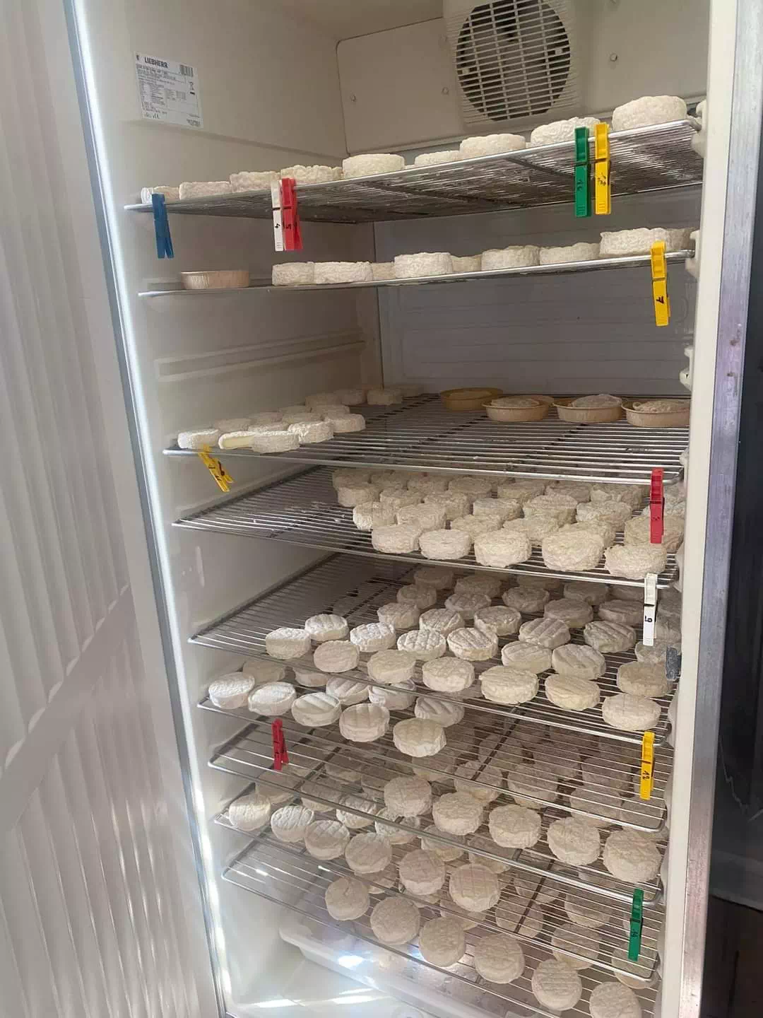 Photo de La Chèvre d'Or