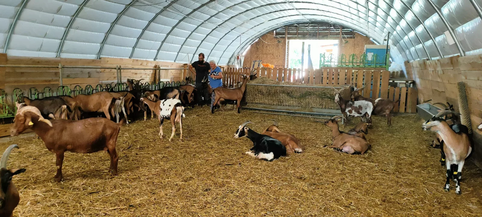Photo de La Chèvre d'Or