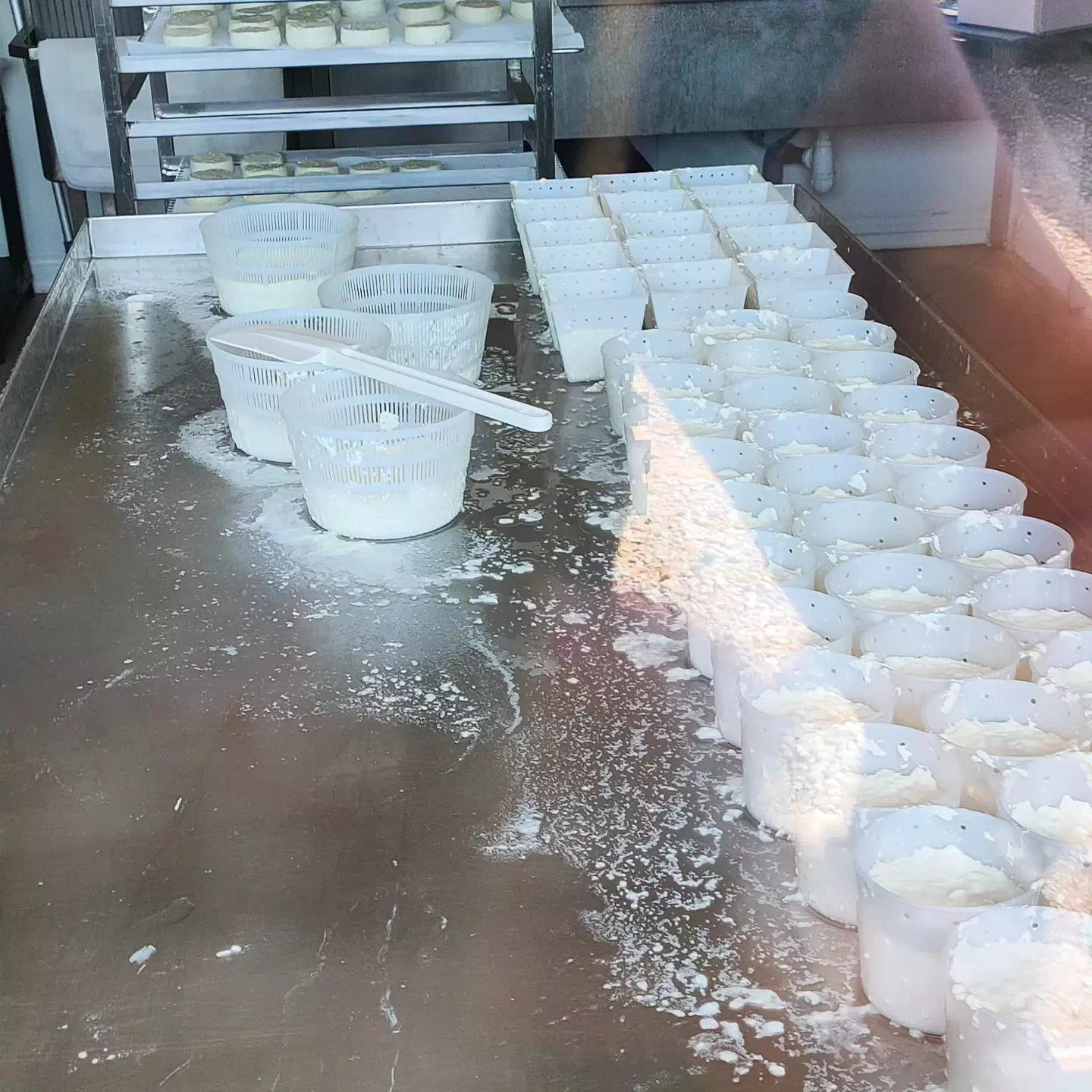 Photo de La Chèvre d'Or