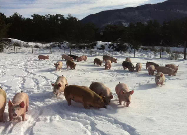 Photo de Ferme du Lauzon