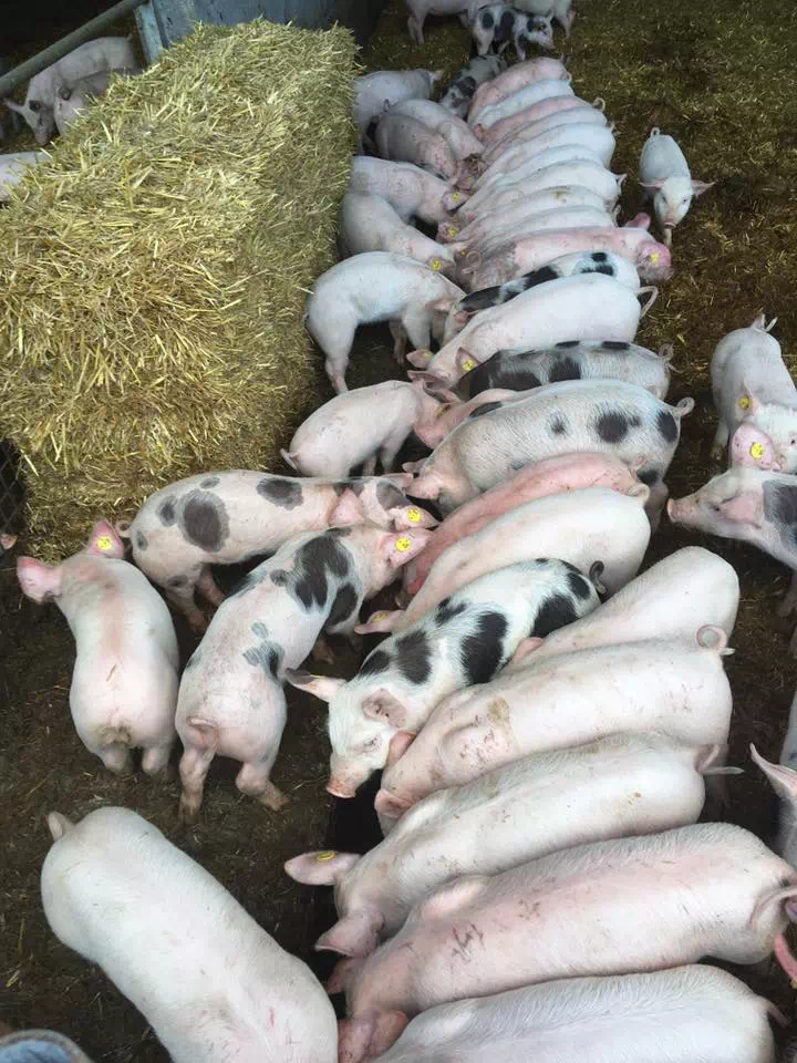 Photo de Ferme du Lauzon